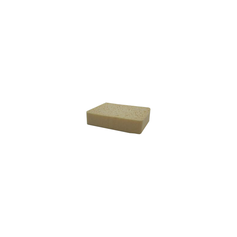 EPONGE VEGETALE N°6